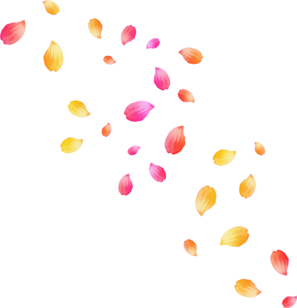 Клипарт для фотошопа PNG лепесток