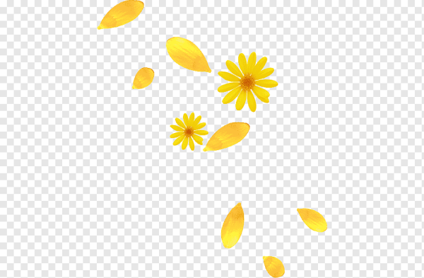 Лепестки роз нарисованные