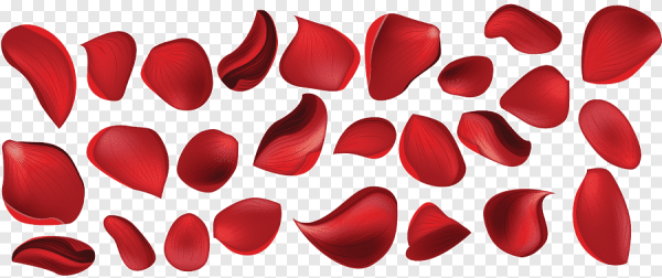 Лепестки без фона