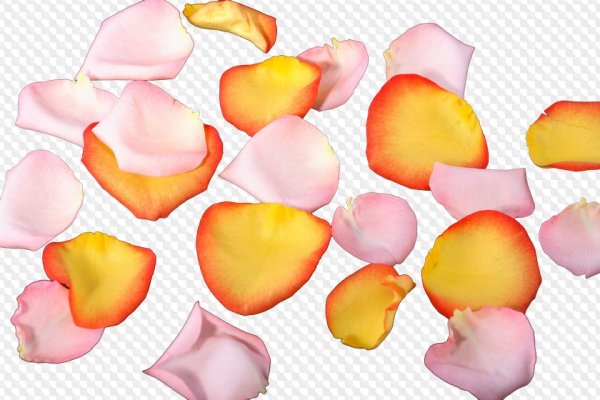 Цветок с разноцветными лепестками