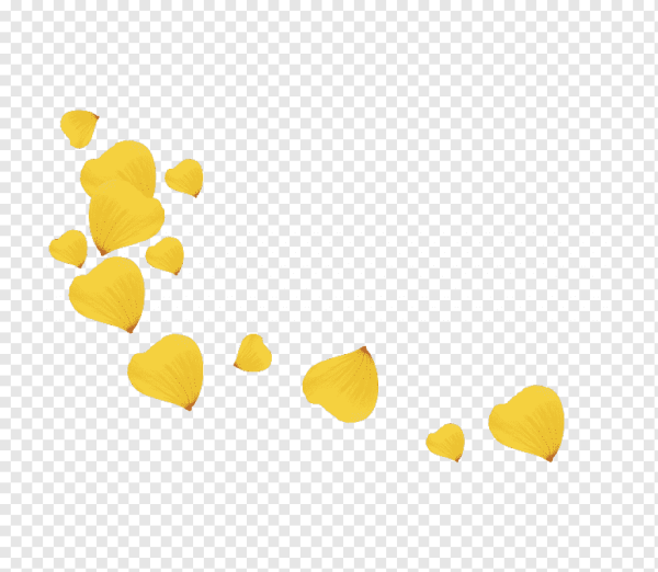 Лепестки без фона