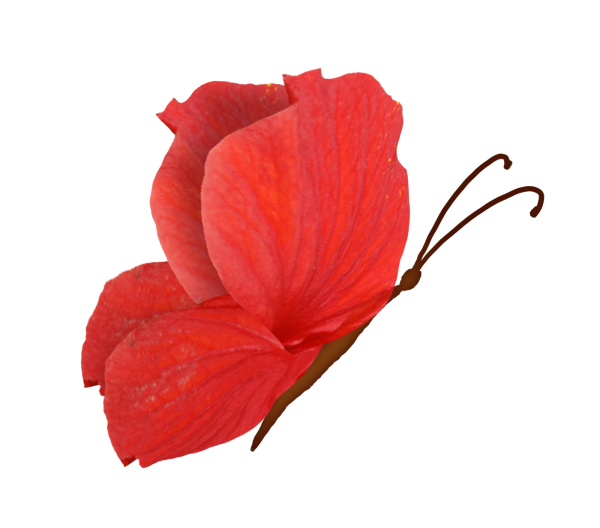 Цветочек с лепестками