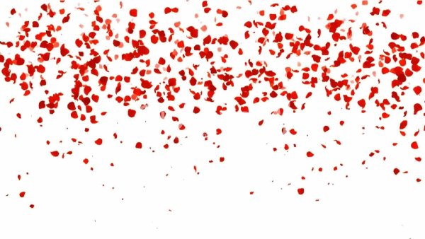 Акварельные лепестки