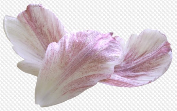 Лепестки роз летят