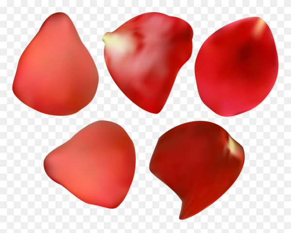 Красный лепесток