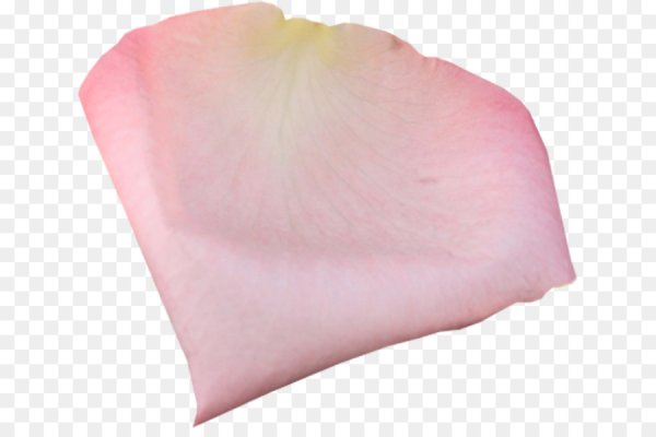 Лепесток Сакуры