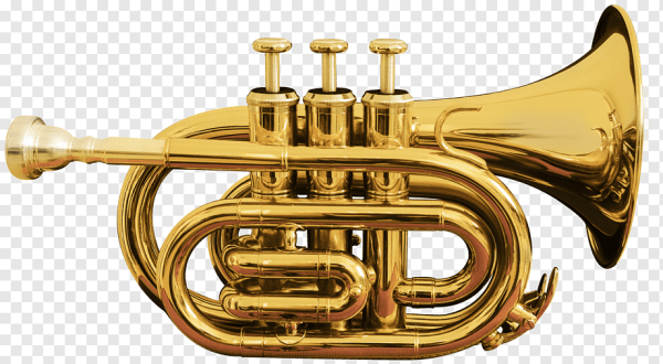 Cornet музыкальный инструмент