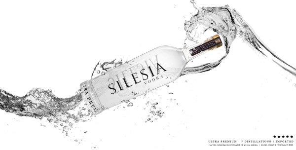 Бутылка водки на прозрачном фоне