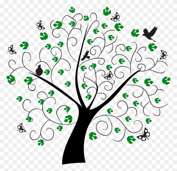 Дерево семьи на прозрачном фоне