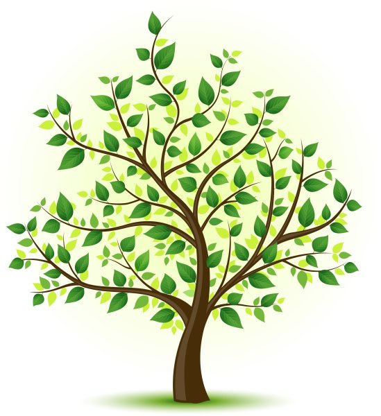 Раскидистое дерево с листьями