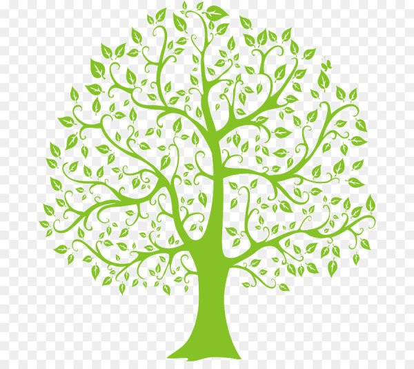 Дерево для генеалогического дерева без фона