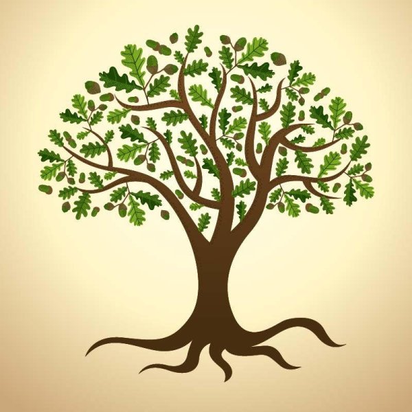 Дерево вектор