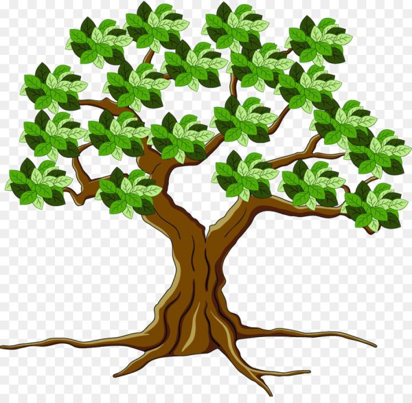 Ветвистое дерево с корнями