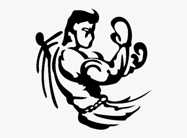 Боксер стилизация