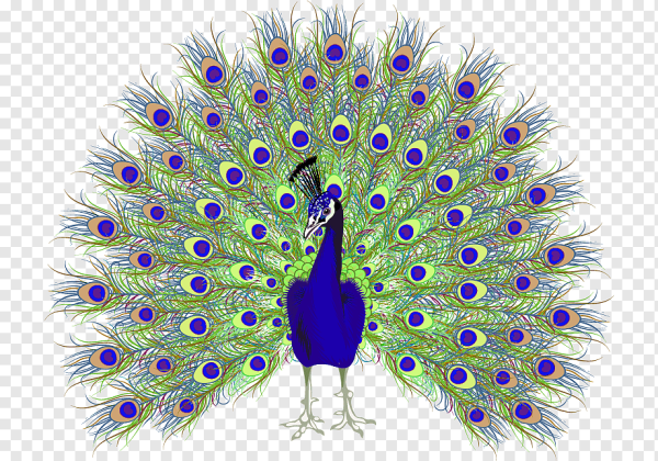 Павлин Аквилейский