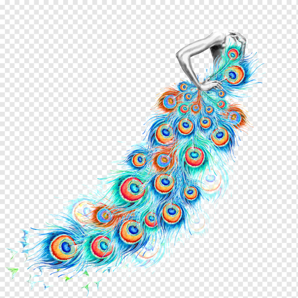 Павлин в векторном стиле