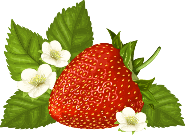 Клубника на прозрачном фоне