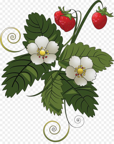 Веточка земляники