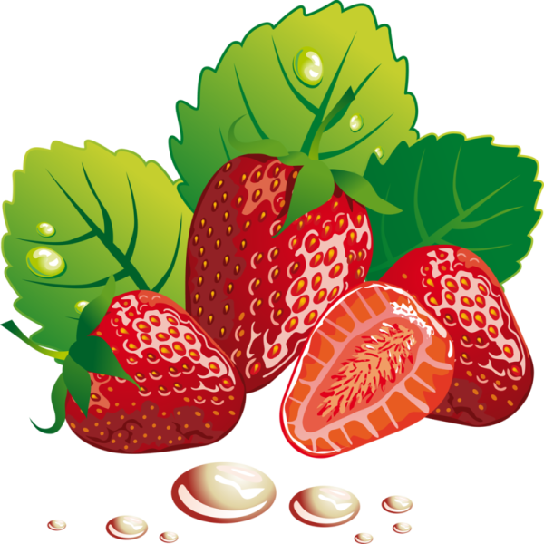 Векторная клубника