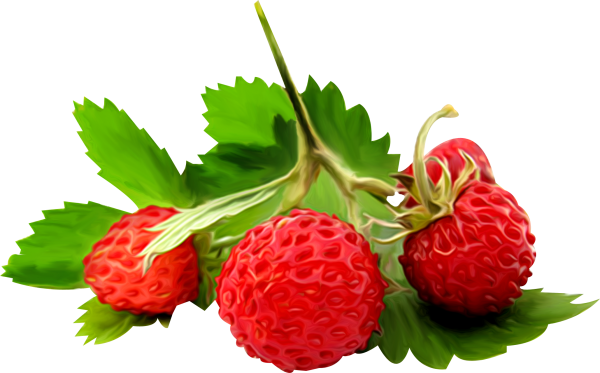 Земляника на прозрачном фоне