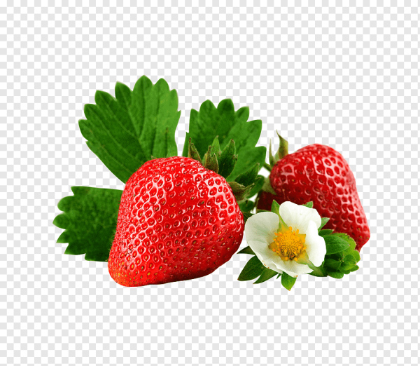Земляника без фона