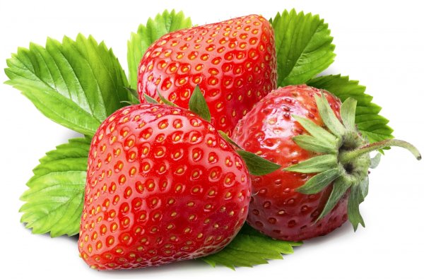 Коулника на белом фоне