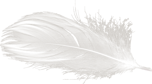 Перо клипарт на прозрачном фоне