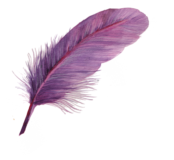Фиолетовые перья