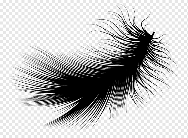 Перо вектор черный