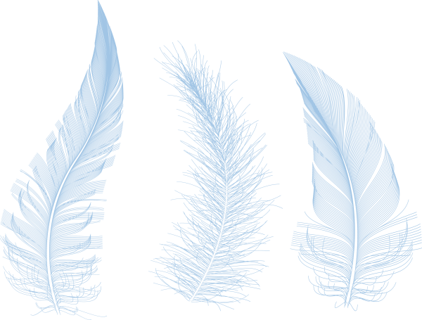 Белое перо на белом фоне