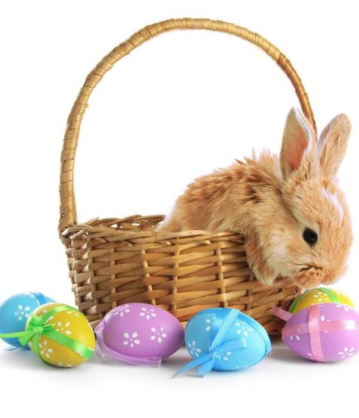 Пасха вектор на прозрачном фоне