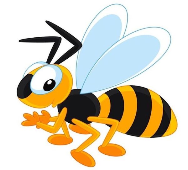 Пчела на прозрачном фоне