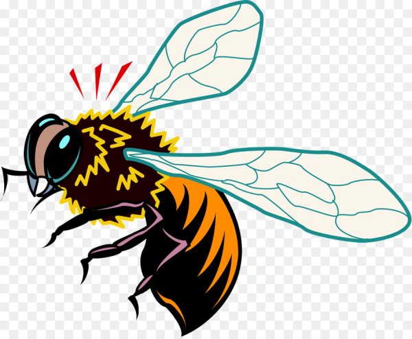 Нарисовать осу