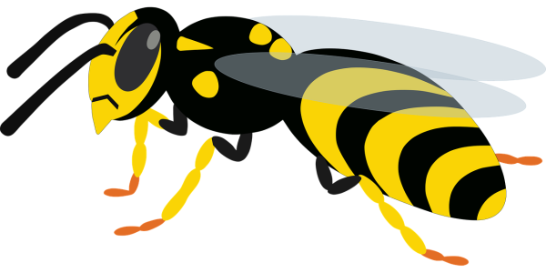 Оса для детей