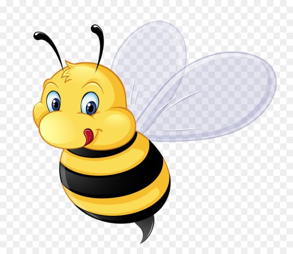 Пчелка на прозрачном фоне