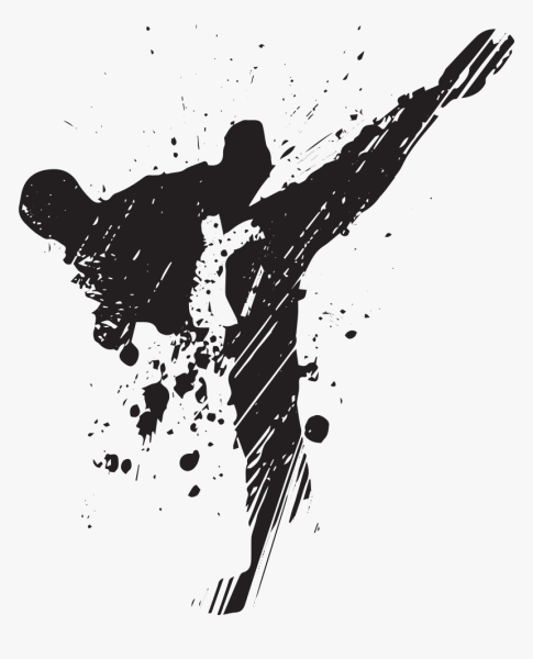 Карате вектор