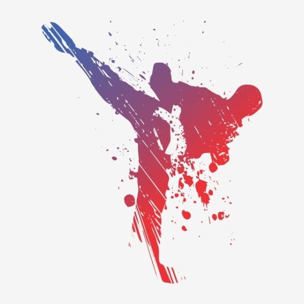 Тхэквондо абстракция