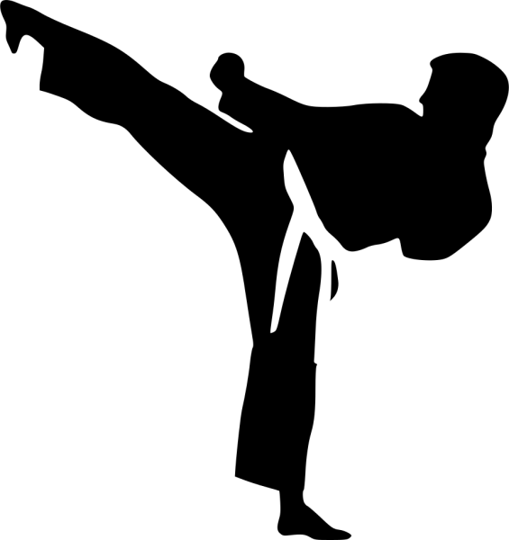 Каратэ киокушинкай силуэт