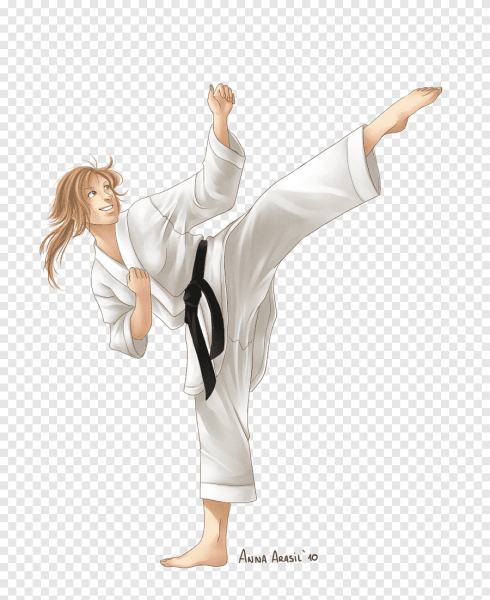 Аниме каратэ Шотокан