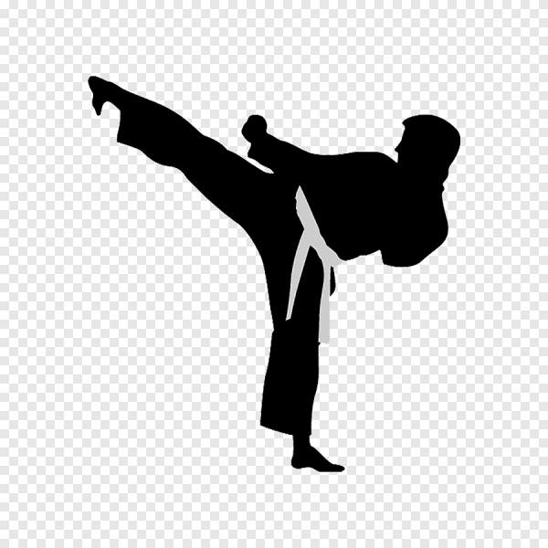 Каратист Шотокан силуэт