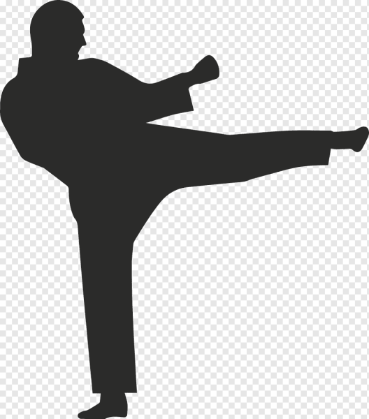 Карате вектор