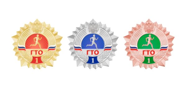 Золотой значок ГТО 2020