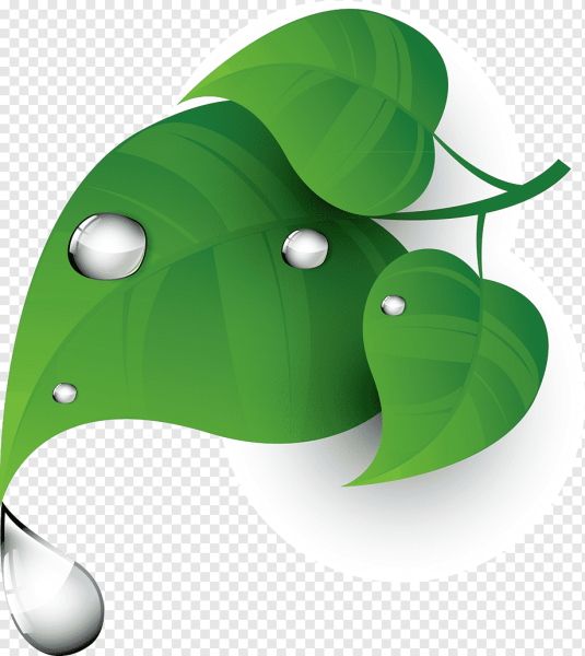 Роса вектор