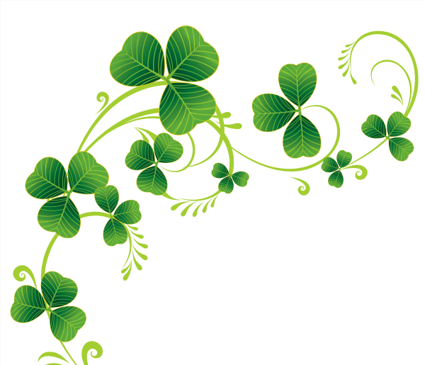 Лоза клевера