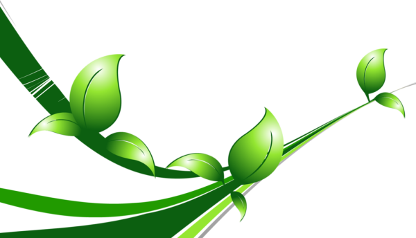 Экологический орнамент