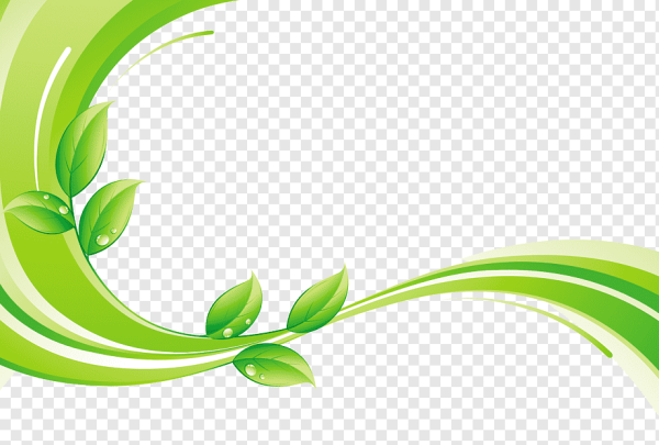 Зеленый уголок