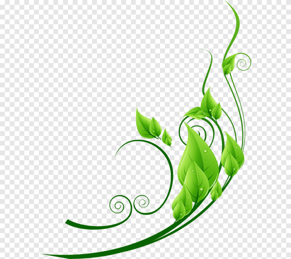 Зеленые узоры на белом фоне