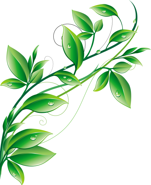 Веточка с зелеными листиками