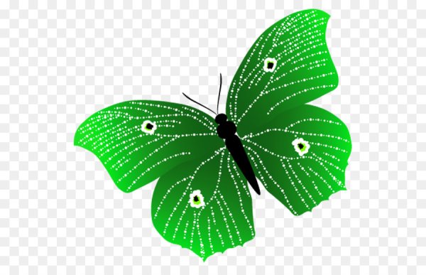 Зеленая бабочка