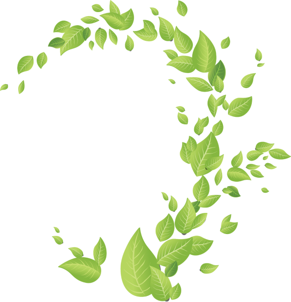 Зеленые листочки на прозрачном фоне